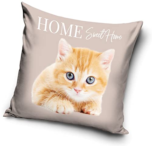 Katzen Baby Motiv Kissenhülle Kissenbezug 40x40 cm (PNL214091) von Carbotex