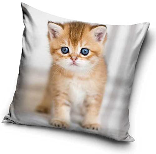 Katzen Baby Motiv Kissenhülle Kissenbezug 40x40 cm (PNL215078) von Carbotex