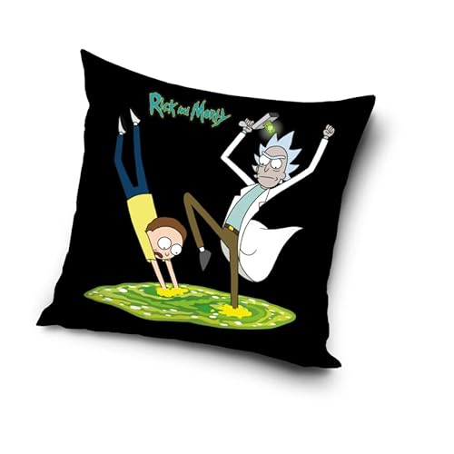 Carbotex Rick and Morty Kissen Dekokissen RAM214002 40x40 cm von Carbotex