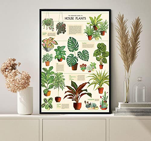 Retro-Metall-Blechschild, 14 x 20,3 cm, "The Grower's Guide to Houseplants", Poster, Zimmerpflanzen-Poster, botanischer Zimmerpflanzenliebhaber, neues Zuhause, Geschenk, lustige Wanddekoration Retro-Metall-Blechschild, 14 x 20,3 cm, "The Grower's Guide to Houseplants", Poster, Zimmerpflanzen-Poster, botanischer Zimmerpflanzenliebhaber, neues Zuhause, Geschenk, lustige Wanddekoration von Cardigirl