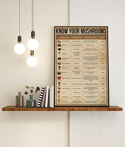 Retro Metall-Blechschild 14 x 20 cm Know Your Mushrooms Print Küchendekoration Pilzführer Druck Pilzarten Poster Küche Wandbehang Pilz Küche Dekor Lustige Wanddekoration Geschenke von Cardigirl