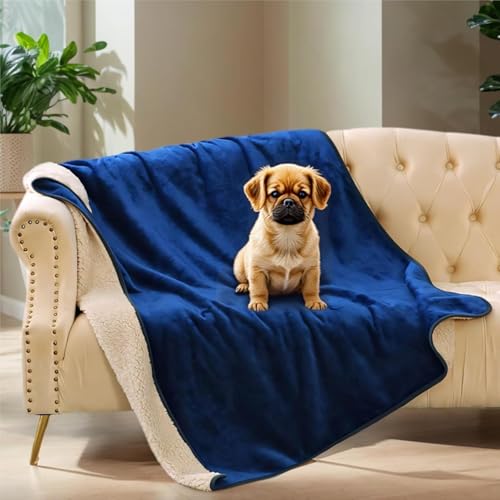 CareCooo wasserdichte Hundedecke Mittelgroß - 75x100cm Hundedecke Wasserdicht Waschbar, Flauschige Hundedecke Sofa und Autoschutz, Blau von CareCooo