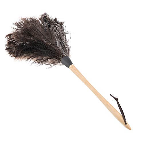 Caredy handgemachtes Staubtuch, Staubwedel, Brown Ostrich Feather Duster mit Holzgriff Professionelle Handarbeit Waschbar Nicht elektrostatisch Leicht zu entfernen Staub für Jalousien Küche Tastatur von Caredy