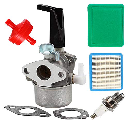 Carkio 696065 Vergaser-Set mit Dichtung, YL-991 Luftfilter, YL-999 Kraftstofffilter, YL-721 Zündkerze für Briggs Stratton 697422 110412 110402 Motorfräse Vergaser von Carkio