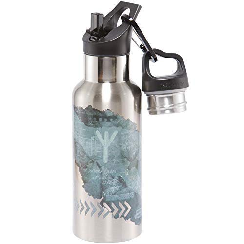 Carl Oscar schwedische Design doppelwandige Thermosflasche - Isolierflasche hält mehrere Stunden warm oder kalt. 0,5 Liter. Kommt mit 2 Kappen, eine mit Strohhalm. grau von Carl Oscar