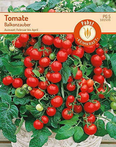 Carl Pabst 101535 Tomate Balkonzauber (Buschtomatensamen) von Carl Pabst