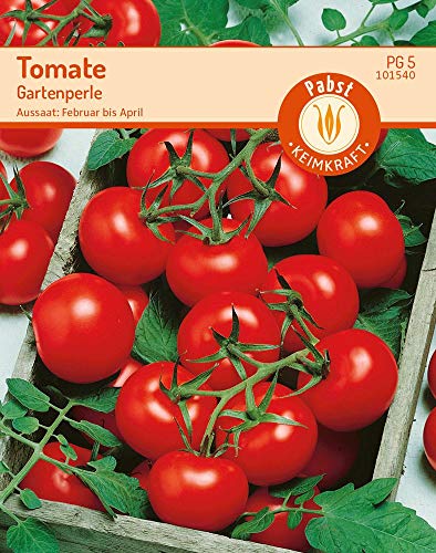 Carl Pabst 101540 Tomate Gartenperle (Kirschtomatensamen) von Carl Pabst