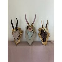 Rehgeweih Reh Geweih Deko Rehbock Dekogeweih Boho Jagdtrophäe Rehgeweih Reh Geweih Deko Rehbock Dekogeweih Boho Jagdtrophäe von Carlaful