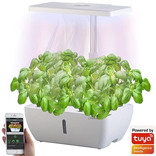 Carlo Milano Smart Garden: Smartes WLAN-Anzuchtsystem für 12 Pflanzen, Wachstums-LEDs, App, 7 l (Anzuchtbox, Pflanzenzuchtstation, Indoor Garten hydropon) von Carlo Milano