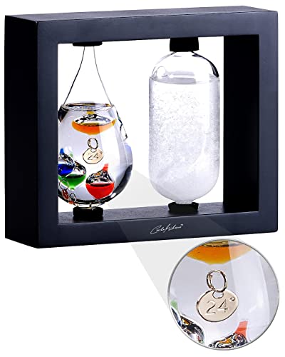 Carlo Milano Wetterglas: 2in1-Galileo-Thermometer & Sturmglas mit elegantem Holzrahmen, schwarz (Goethebarometer, Thermometer analog, Wetterstationen) von Carlo Milano