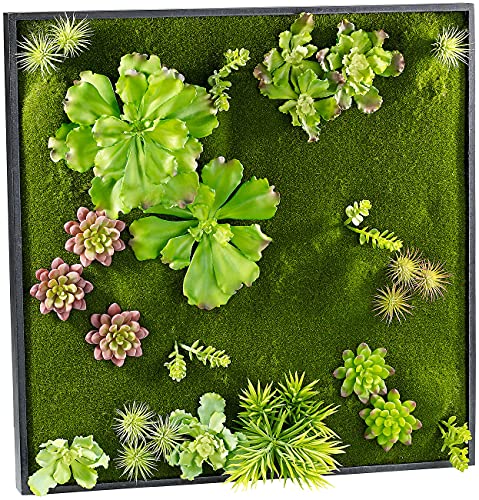 Carlo Milano Wandbild: Vertikaler Wandgarten Ken mit Deko-Ranken, 60 x 60 cm (Vertikaler Garten, Wandgarten Systeme, Zimmerbrunnen) von Carlo Milano