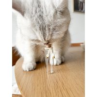 Schnurrhaar Glas Aufbewahrung Tier Fell Katze Hund Erinnerung Personalisiert Schnurrhaar Glas Aufbewahrung Tier Fell Katze Hund Erinnerung Personalisiert von CarloMiniMeow