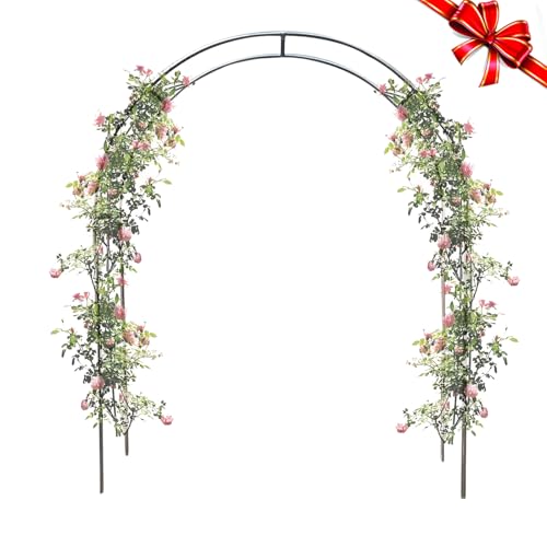 Rosenbogen Gartenbogen, Gartenbogen Aus Edelstahl, Stabil Metall Torbogen für Verschiedene Kletterpflanzen Und Rosen Romantischer Rankenbogen, Wetterfest Pflanzen Rankhilfe(2.4x2.4m) von Carlong