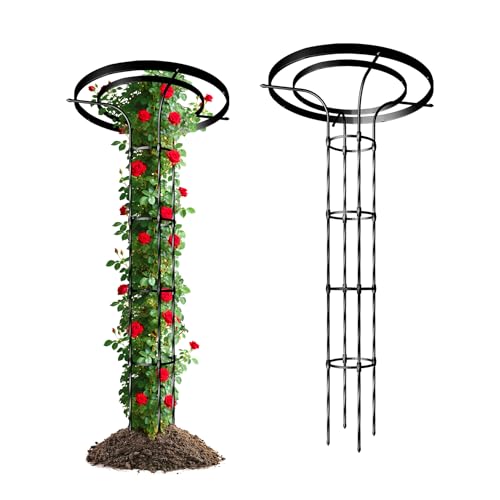 Carotex Pilzspalier für Kletterpflanzen im Freien, 1,5 m, dekorative Obelisk-Pflanzenstütze mit rostfreiem PE-beschichtetem Metall, Rosenspalier für Clematis Efeu, Schwarz Carotex Pilzspalier für Kletterpflanzen im Freien, 1,5 m, dekorative Obelisk-Pflanzenstütze mit rostfreiem PE-beschichtetem Metall, Rosenspalier für Clematis Efeu, Schwarz von CaroTex