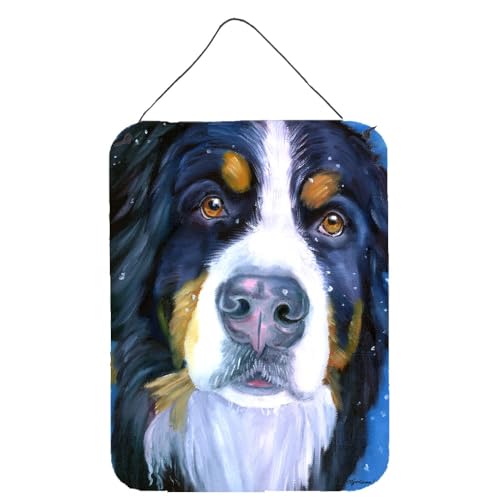 Caroline 's Treasures 7337ds1216 Luca der Berner Sennenhund Wand oder Tür Aufhängen Prints, 40,6 x 30,5 cm Multicolor von Caroline's Treasures