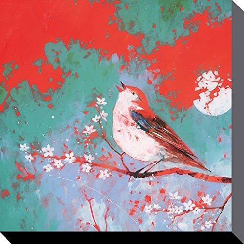 Carolyn Carter Kunstdruck auf Leinwand, Motiv: Vogelgesang, 40 x 40 cm, Polyester, Mehrfarbig, 40x40x3.2 cm von Carolyn Carter
