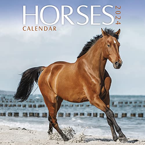 Horses 2024 Calendar von Carousel Calendars