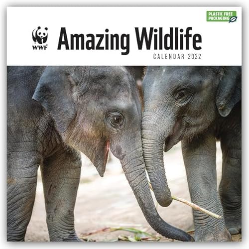 WWF Amazing Wildlife – Faszinierende Tierwelt 2022: Original Carousel-Kalender [Mehrsprachig] [Kalender] (Wall-Kalender) von Carousel Calendars