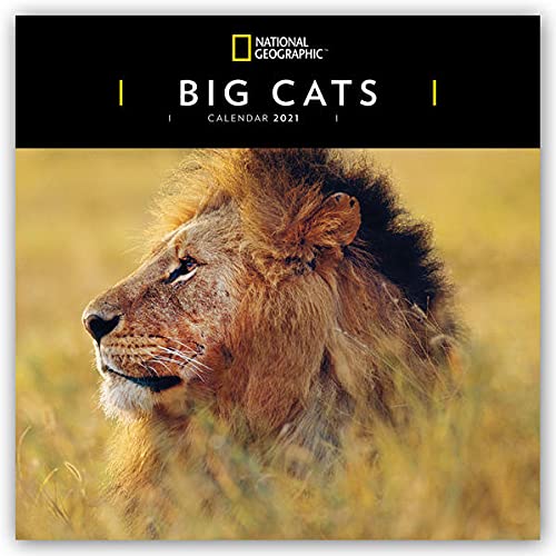 WWF Big Cats – Raubkatzen 2024: Original Carousel-Kalender [Mehrsprachig] [Kalender] (Wall-Kalender) von Carousel Calendars