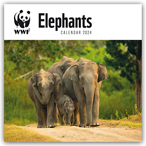 WWF Elephants – Elefanten 2024: Original Carousel-Kalender [Mehrsprachig] [Kalender] (Wall-Kalender) von Carousel Calendars
