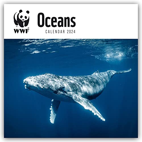 WWF Oceans – Meere – Ozeane – Weltmeere 2024: Original Carousel-Kalender [Mehrsprachig] [Kalender] (Wall-Kalender) von Carousel Calendars