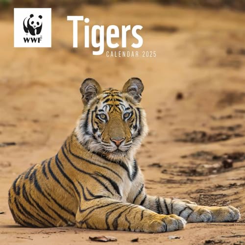 WWF Tigers Square Wall Calendar 2025 WWF Tigers Square Wall Calendar 2025 von Carousel Calendars