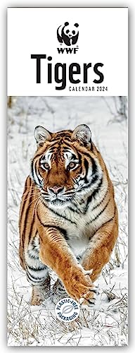 WWF Tigers – Tiger 2024 – Slimline-Kalender: Original Carousel Calendar [Mehrsprachig] [Kalender] von Carousel Calendars
