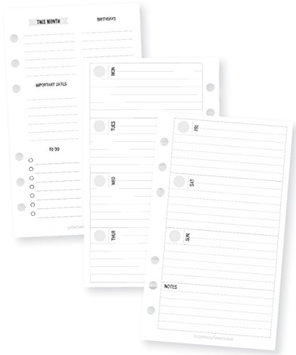 Simple Stories 7985 Planer Essentials doppelseitige persönliche Einlagen, mehrfarbig von Simple Stories
