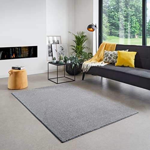 Carpet Studio Maine Teppich Grau, Teppich Wohnzimmer 140x200 cm, Kurzflor Teppiche, Wohnzimmerteppich, Teppich Schlafzimmer von Carpet Studio