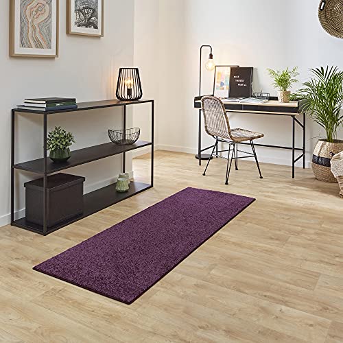 Carpet Studio Ohio Teppich Läufer 67x180cm, Weicher Kurzflor Teppich Läufer Flur, Schlaffzimmer, Wohnzimmer & Küche, Pflegeleicht, Geruchsneutral - Lila von Carpet Studio