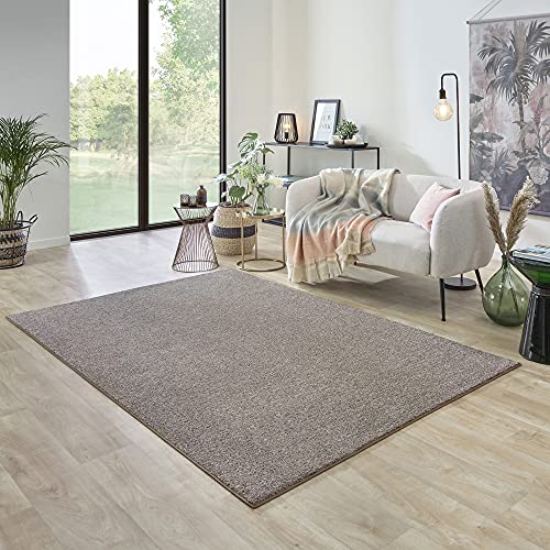 Carpet Studio Ohio Teppich Wohnzimmer 160x230cm, Weicher Kurzflor Teppich, Wohnzimmer, Esszimmer & Schlaffzimmer, Pflegeleicht, Geruchsneutral - Beige von Carpet Studio