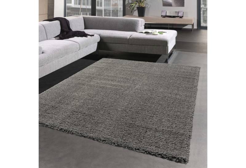 Carpetia Teppich Schlafzimmer Teppich flauschig warm • Unidesign in anthrazit, rechteckig, Höhe: 35 mm von Carpetia