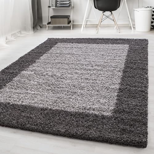 Carpetsale24 Teppich Wohnzimmer Shaggy Moderne 2 Farbig Grau und Silberfarbe 300 x 400 cm - Hochflor Teppich Schlafzimmer Bordüre Muster Extra Weich und Pflegeleicht - Langflor Teppich Flauschig von Carpetsale24