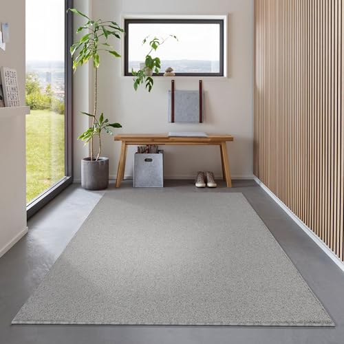 Carpetsale24 Dichtere Kurzflor Teppich Wohnzimmer 120 x 170 cm Hellgrau Modern Design - Teppich Flauschig, Waschbar, Extra Weich & Pflegeleicht - für Schlafzimmer, Esszimmer - Ideal als Küchenteppich von Carpetsale24