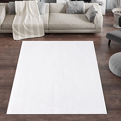 Carpetsale24 Hochflor Teppich Wohnzimmer Moderne Einfarbig Design Creme 80 x 150 cm Läufer - Flauschiger Teppich Schlafzimmer Shaggy Pflegeleicht und Extra Weich - Waschbarer Teppich Plüsch Felloptik von Carpetsale24