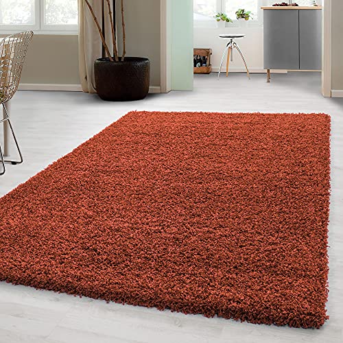 Carpetsale24 Shaggy Hochflor Teppich Läufer Flur 60 x 110 cm Terrakotta Modern - Teppich Flauschig, Extra Weich & Pflegeleicht - Ideal als Bettvorleger für Schlafzimmer, Küchenläufer oder Wohnzimmer von Carpetsale24