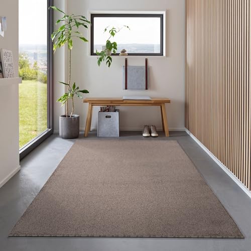 Carpetsale24 Teppich 280x370 cm Braun, Kurzflor, Einfarbig, Modern, Rechteckig, Pflegeleicht, rutschfest, XXL Bodenteppich für Wohnzimmer, Schlafzimmer, Essbereich Carpetsale24 Teppich 280x370 cm Braun, Kurzflor, Einfarbig, Modern, Rechteckig, Pflegeleicht, rutschfest, XXL Bodenteppich für Wohnzimmer, Schlafzimmer, Essbereich von Carpetsale24