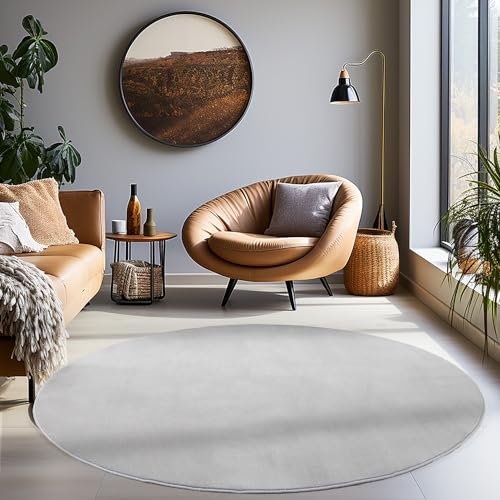 Carpetsale24 Teppich Wohnzimmer Einfarbig Moderne Design Silberfarbe 160 cm Rund - Rutschfest Kurzflor für Schlafzimmer Extra Weich und Flauschig - Runder Waschbarer Esszimmer Küche von Carpetsale24
