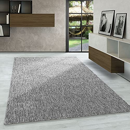 Carpetsale24 Teppich Wohnzimmer Einfarbig Schlingenflor Cut-Loop Teppich Hellgrau 280 x 370 cm - Kurzflor Schlingenteppich Meliert Design Flachgewebe Weicher Teppiche für Schlafzimmer Küche Esszimmer von Carpetsale24