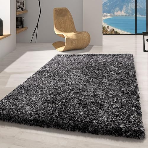 Carpetsale24 Teppich Wohnzimmer Shaggy Flokati Anthrazit - Grau - Weiß 200 x 290 cm Meliert Design - Moderne Hochflor Teppich Schlafzimmer Extra Weich und Pflegeleicht - Flauschiger Teppich Langflor von Carpetsale24