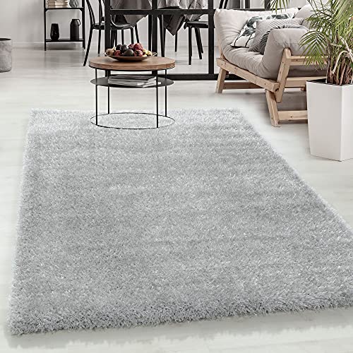 Carpetsale24 Teppich Wohnzimmer Shaggy Einfarbig Design 200 x 290 cm Silberfarbe - Hochflor Teppich Schlafzimmer Luxuriöse Kuschelig und Super Weich - Flauschiger Teppich Langflor 50 mm Florhöhe von Carpetsale24