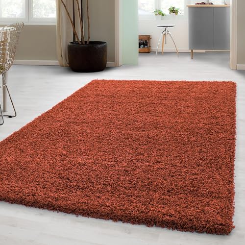 Carpetsale24 Shaggy Hochflor Teppich Wohnzimmer 120 x 170 cm Terrakotta Modern - Teppich Flauschig, Extra Weich, Pflegeleicht und einfarbig - für Schlafzimmer, Esszimmer - Ideal als Küchenteppich von Carpetsale24