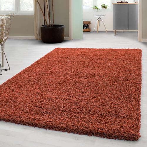 Carpetsale24 Shaggy Hochflor Teppich Wohnzimmer 140 x 200 cm Terrakotta Modern - Teppich Flauschig, Extra Weich, Pflegeleicht und einfarbig - für Schlafzimmer, Esszimmer - Ideal als Küchenteppich von Carpetsale24