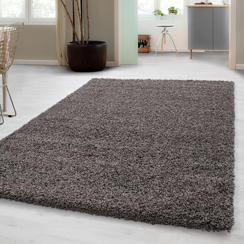 Carpetsale24 Shaggy Hochflor Teppich Wohnzimmer 160x230 cm Taupe Modern - Teppich Flauschig, Extra Weich, Pflegeleicht und einfarbig - für Schlafzimmer, Esszimmer - Ideal als Küchenteppich von Carpetsale24
