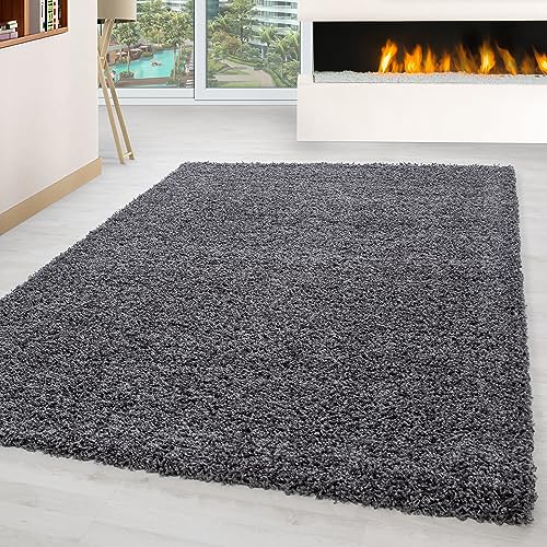 Carpettex Hochflor Teppich Wohnzimmer Shaggy Flokati Teppich Modern Einfarbig 120 x 170 cm Flur Teppich Läufer Grau - Teppich Bettvorleger Schlafzimmer Weich Flauschig Waschbar Küchenläufer von Carpettex Teppich