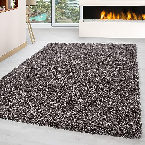 Carpettex Hochflor Teppich Wohnzimmer Shaggy Flokati Teppich Modern Einfarbig 120 x 170 cm Flur Teppich Läufer Taupe - Teppich Bettvorleger Schlafzimmer Weich Flauschig Waschbar Küchenläufer von Carpettex Teppich