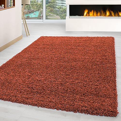 Carpettex Hochflor Teppich Wohnzimmer Shaggy Flokati Teppich Modern Einfarbig 140 x 200 cm Flur Teppich Läufer Terrakotta - Teppich Bettvorleger Schlafzimmer Weich Flauschig Waschbar Küchenläufer von Carpettex Teppich