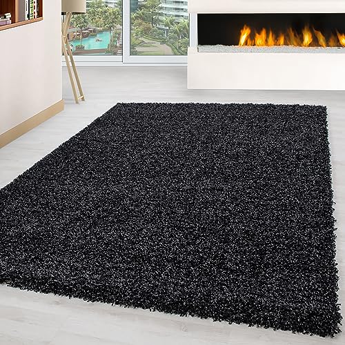 Carpettex Hochflor Teppich Wohnzimmer Shaggy Flokati Teppich Modern Einfarbig 160 x 230 cm Flur Teppich Läufer Anthrazit - Teppich Bettvorleger Schlafzimmer Weich Flauschig Waschbar Küchenläufer von Carpettex Teppich