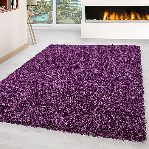 Carpettex Hochflor Teppich Wohnzimmer Shaggy Flokati Teppich Modern Einfarbig 160 x 230 cm Flur Teppich Läufer Violett-1 - Teppich Bettvorleger Schlafzimmer Weich Flauschig Waschbar Küchenläufer von Carpettex Teppich