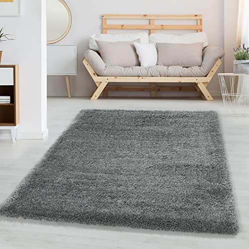 Carpettex Hochflor Teppich - Wohnzimmer Shaggy Flokati Modern Einfarbig 80 x 250 cm Flur Läufer Hellgrau - Bettvorleger Schlafzimmer Weich Flauschig Waschbar Küchenläufer Carpettex Hochflor Teppich - Wohnzimmer Shaggy Flokati Modern Einfarbig 80 x 250 cm Flur Läufer Hellgrau - Bettvorleger Schlafzimmer Weich Flauschig Waschbar Küchenläufer von Carpettex Teppich